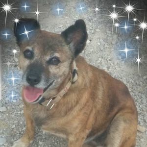 Meet your Posher, Cheryl